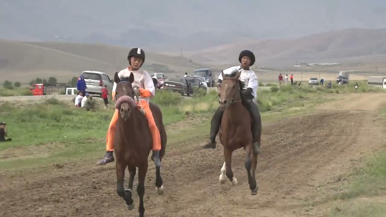 Аламан жарыш