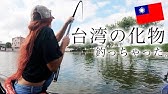 大物ヒット フロリダの川で 女怪魚ハンターの一人旅アメリカ Monster Snook In Florida Youtube