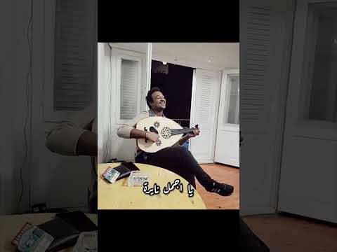 اغنية وسط الدايرة للفنان الكبير محمد وردي اغنية اغاني سودانية  مزيكا