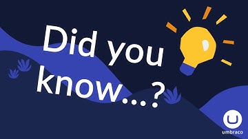 Did You Know You Can Rollback Content in Umbraco?