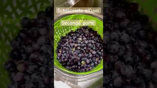 Schiacciata all’uva #uva #toscana #sceglivegan #schiacciata