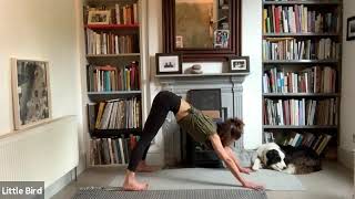 GMT20200627 090339 Slow Vinyasa 640x360