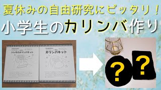 【自由研究】カリンバキットでカリンバ作ってみた【小学生の夏休み】手作り楽器 工作 鈴木楽器製作所