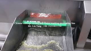 Chinese cabbage cutting and vortex washing processing line 20220114