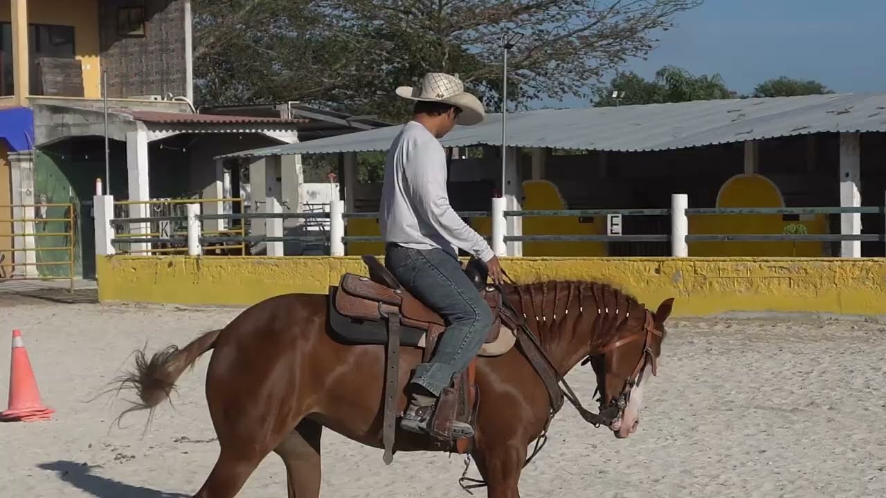 Acompañame a entrenar a estra yegua :D