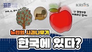[KRISS 표준백과사전] 제9화 뉴턴의 사과나무가 한국에 있다?!