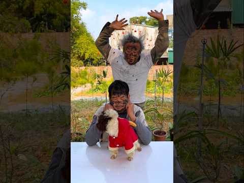 Hai anh em trêu chọc nhau siêu dễ thương 🐶🐶🐶🐶🐶🐶👴 #shorts #cute