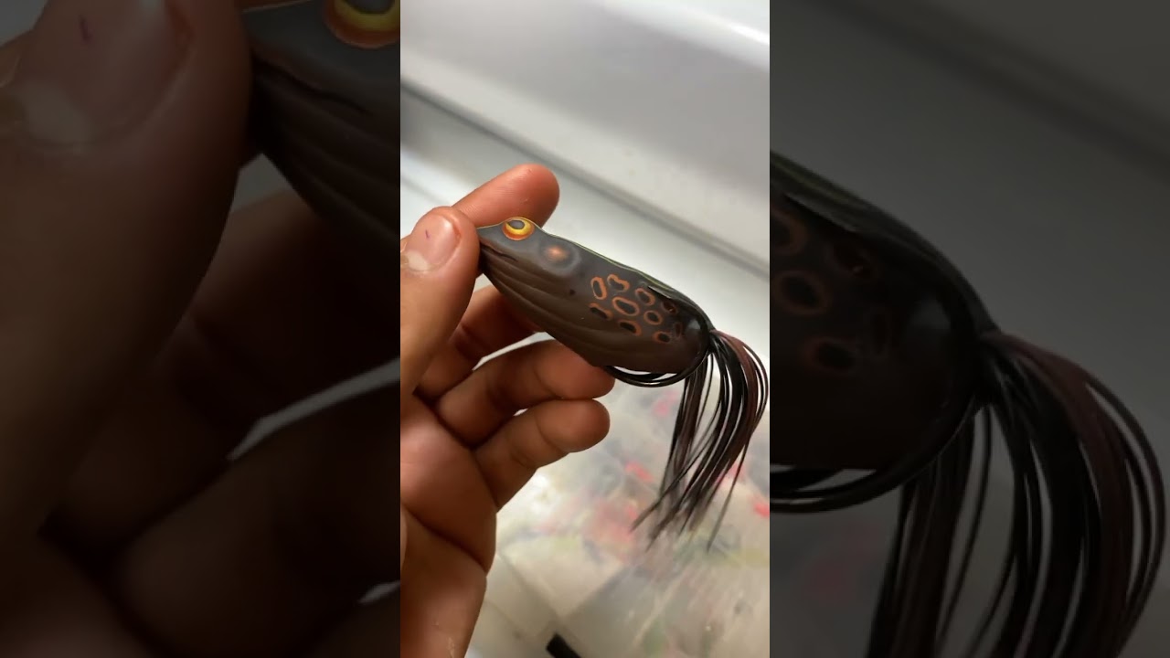 Best Frog Lure!! 