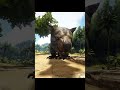 КОТЁНОК в АРК занял самое ТЁПЛОЕ МЕСТО в ДОМЕ!!