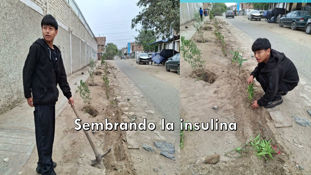 Educación-Medio Ambiente siembra de plantas