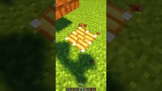 ❤️Functional Seesaw! #minecraft #minecraftshorts