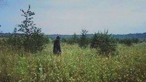 𝔅𝔢𝔩𝔡𝔢𝔯𝔱𝔥𝔬𝔯𝔪 "𝔘𝔫𝔡𝔢𝔯 𝔞 𝔠𝔩𝔢𝔞𝔯 𝔰𝔨𝔶"  ( Под ясным небом) EP 2024