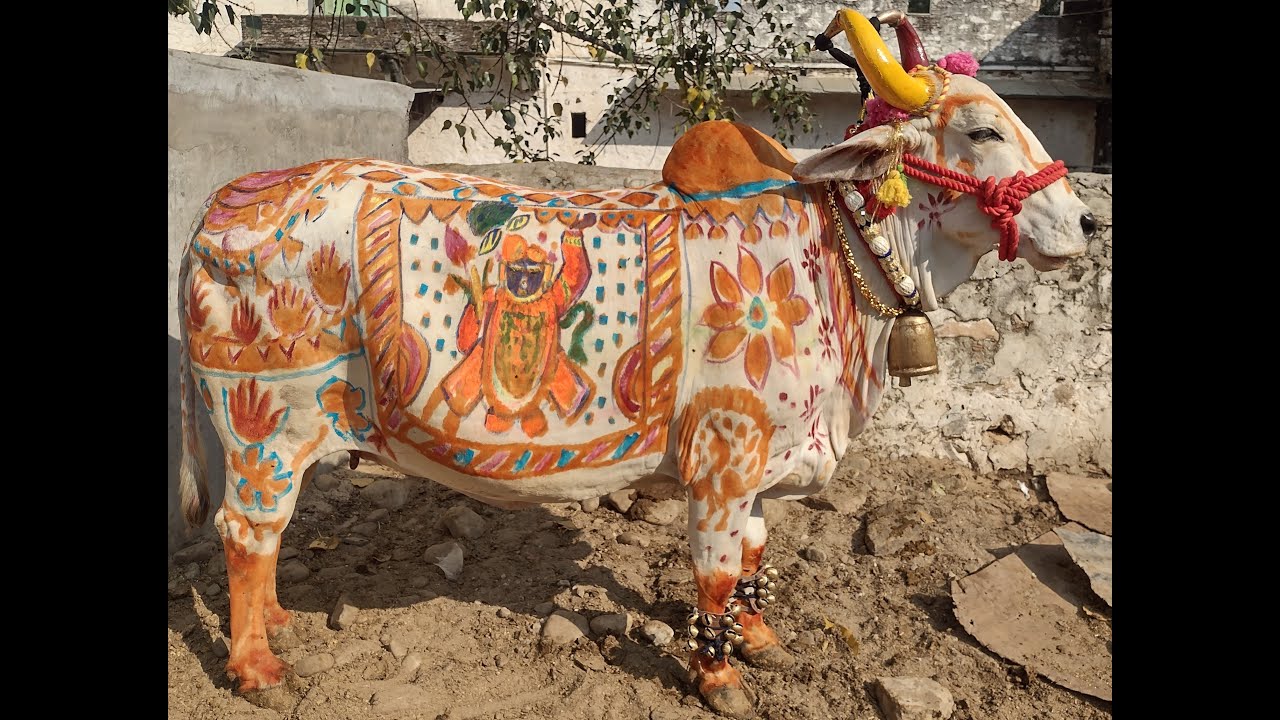 Shrinathji Diwali 2021