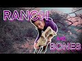 Ranch and bones  a lovely adventure