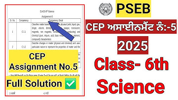 Class 6th Science CEP Assignment No.5 solution 2025 /PSEB Class 6th science CEP worksheet #pseb