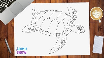 How to draw a turtle