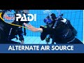 How to perform alternate air source stationary  padi scuba skills