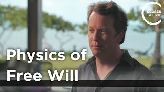 Sean Carroll  Physics of Free Will