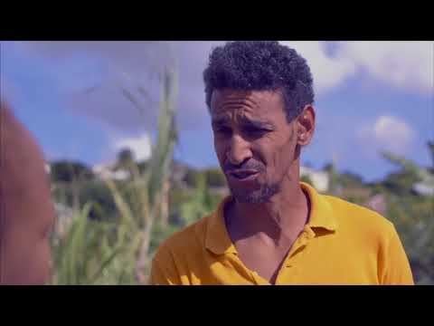 health insurance Rain Barrels (Together) - English Version