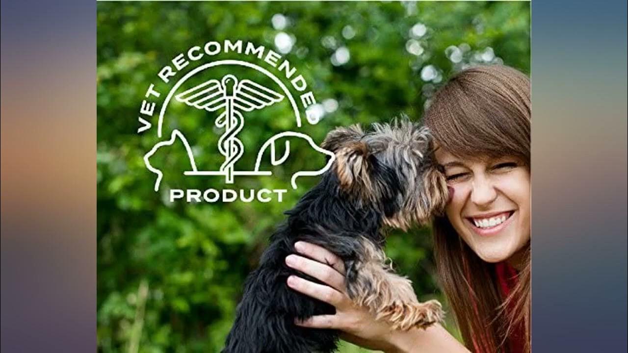 Pet Action Plus Flea & Tick Treatment for Small Dogs, 622 lbs, 3 Month