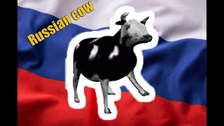 Польская корова - русская версия (Polish cow - russian edition)