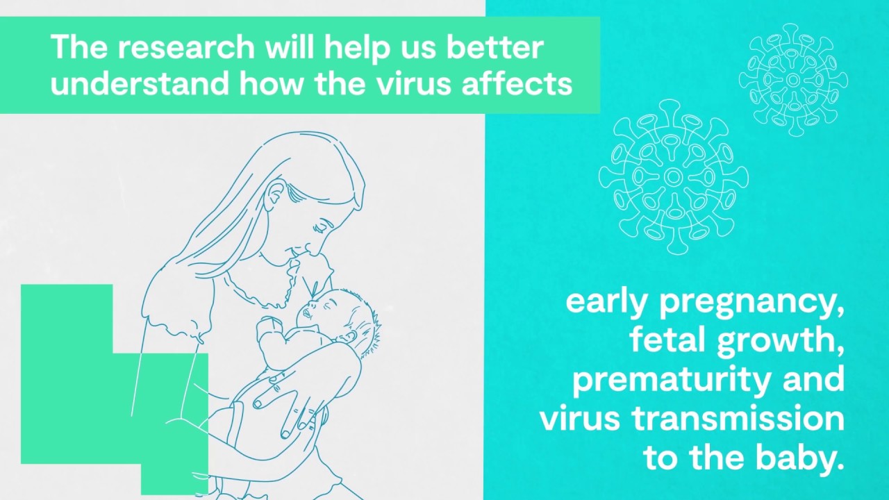 How does covid19 affect pregnancy this research is looking for