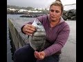 Fishing Silver / White Seabream / Pesca ao Sargo /  Pêche de sar  دنيس  الدنيس الأبيض