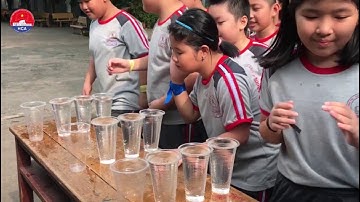 Công tác xã hội với nhóm