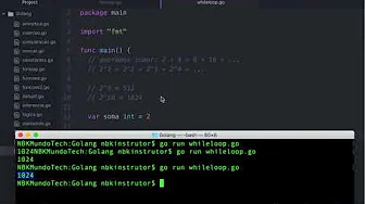 cursos/0010-aprenda-golang: Estrutura de Repetição Enquanto (While Loop) na Linguagem Go (Aula de Golang)