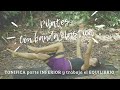 10 min PILATES con BANDA ELASTICA/tonifica y trabaja tu equilibrio