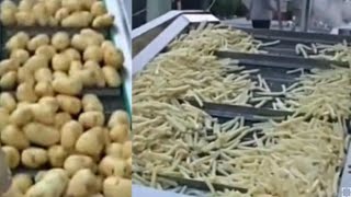 Potato Fries making process in One Machine #food vlogs