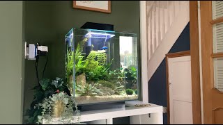 Fluval Edge 46L 12 Gallon Aquascape Fish Shrimp