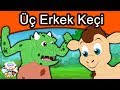 Üç Erkek Keçi | Masal Dinle | Masallar | Türkçe çocuk masalları izle 2019 | Türkçe Peri Masallar