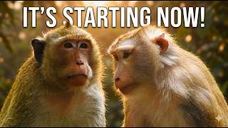 LIBBY ’s Next Generation Begins! Sweet Bonding Moments with SANTIAGO Revealed 🐒💖