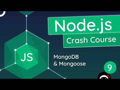 Node.js Crash Course Tutorial #9 - MongoDB