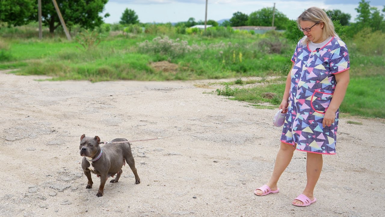 Ждать больше нельзя! Собаке пора рожать, а она не рожает!