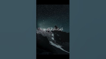 سورة الجاثية - ياسر الدوسري