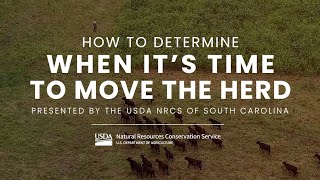 When to Move Livestock for Optimal Grazing and Water Access