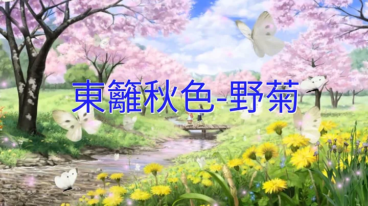YPT18《東籬秋色-野菊》 心靈音樂｜休閒音樂｜佛教音樂｜禪修音樂｜太極拳背景音樂＞無痕加長珍藏版 - 天天要聞