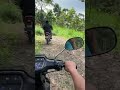 pemndangan hijau yuk jalan jalan