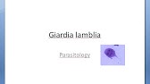 Giardiasis jelentése a gyűlöletben - Az endometrium rák genetikai