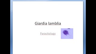 Parasitology 042 a Giardia lamblia flagellate protozoa String test Entero test lumen intestinal