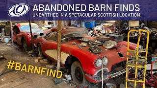 Abandoned Barn Finds Unearthed by the Anglia Car Auctions Team! #barnfind