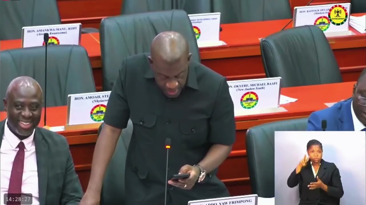 'Admit you inherited and rebranded Bawumia's initiative into GANRAP'  - Kojo Oppong-Nkrumah to Gov't