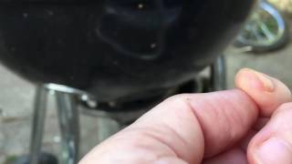 Baby inchworm