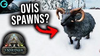 Ovis Spawn Locations on Fjordur!