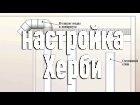 Видео: Как настроить аквариум с морской водой