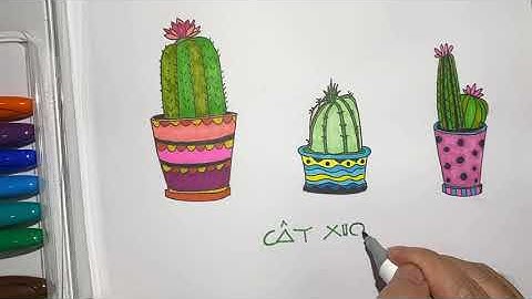 VẼ CÂY XƯƠNG RỒNG Draw Cactus