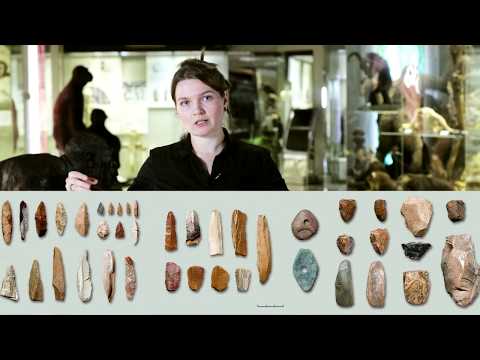 Видео: Как маркерные окаменелости связаны с геологическим временем?