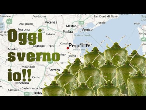 Oggi sverno io!